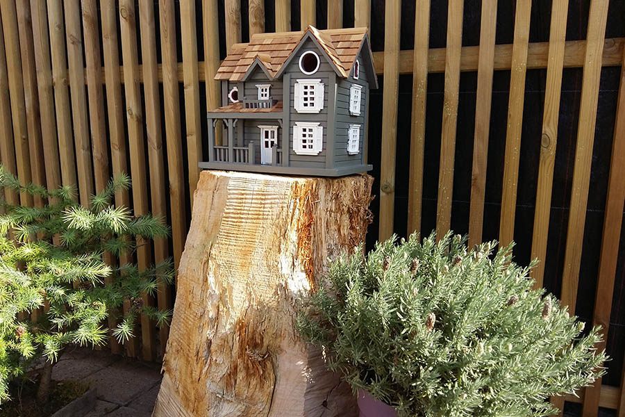 <span>Photo ‘t houten huisje</span>La petite maison en bois